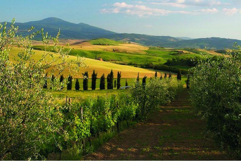 Le Traverse Pienza Dış mekan fotoğraf