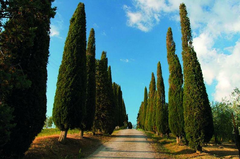 Le Traverse Pienza Dış mekan fotoğraf